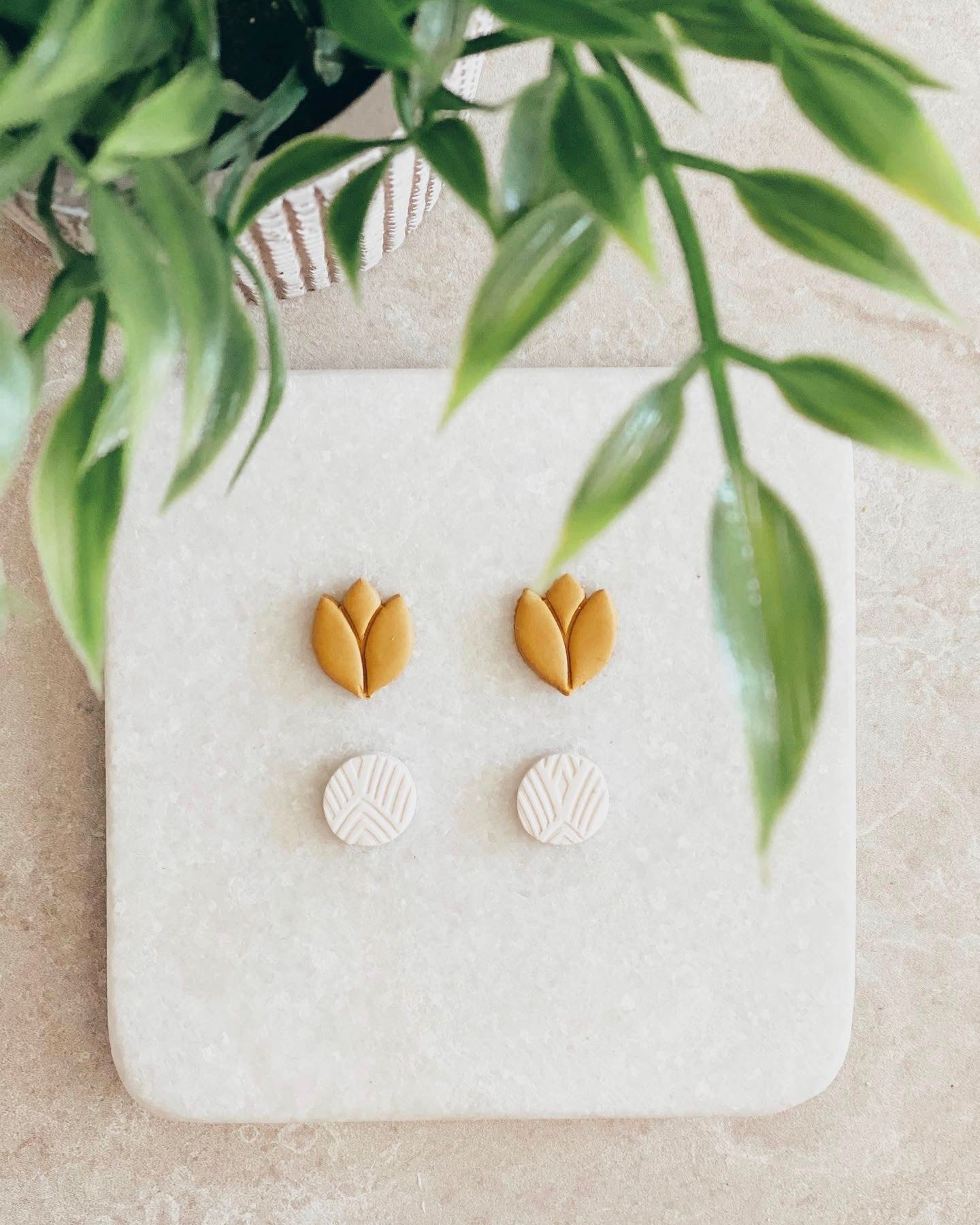 Tulip Stud Packs