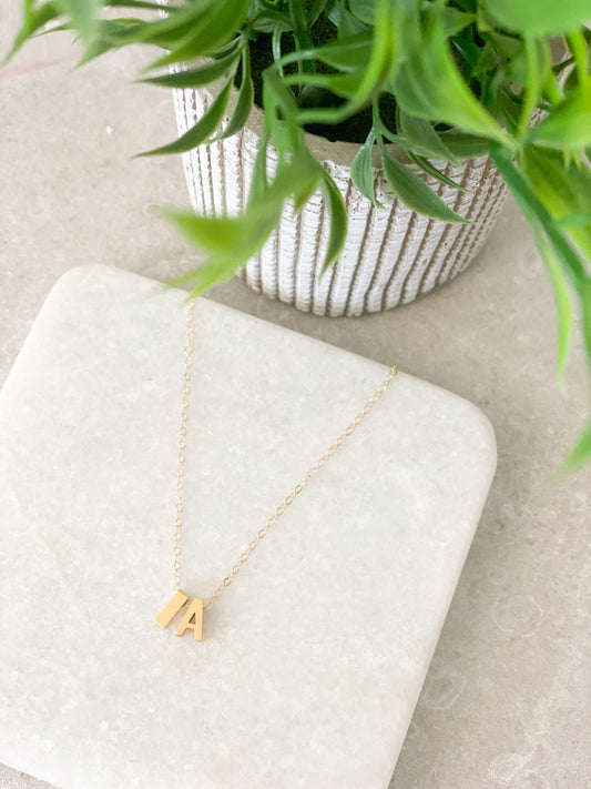 Gold Filled Iowa Necklace